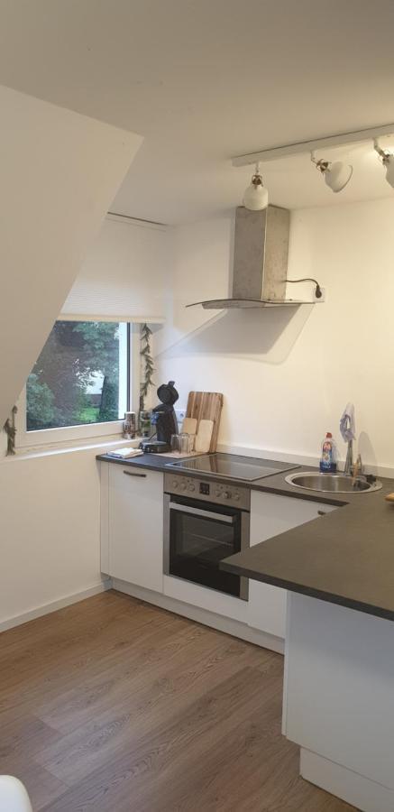 נוישטאדט אן דר אייש Frisch Renoviert Mit Dachterrasse - Geniesse Ruhe Und Grun Nahe Neustadt Aisch מראה חיצוני תמונה